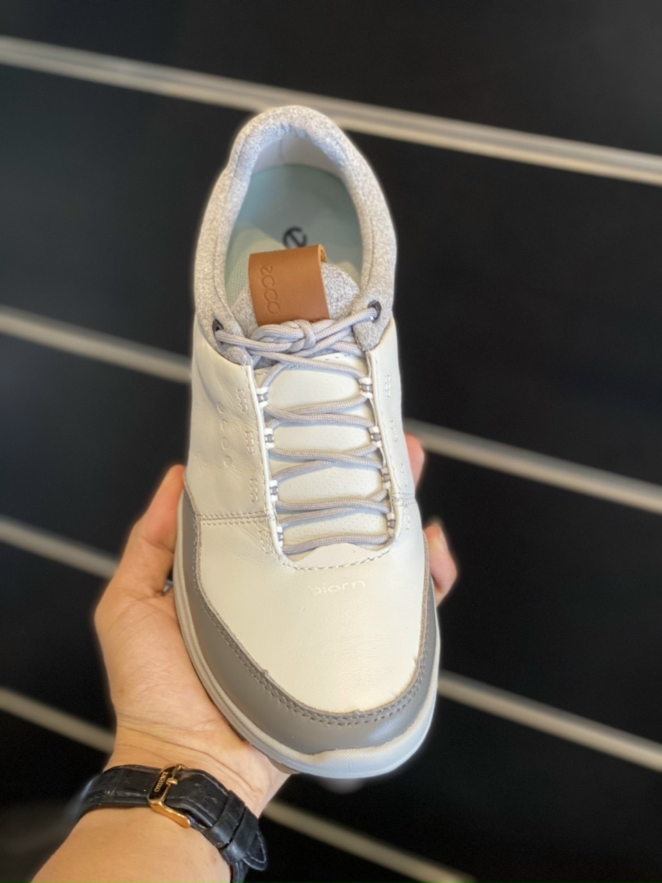 Giày Ecco Golf Biom