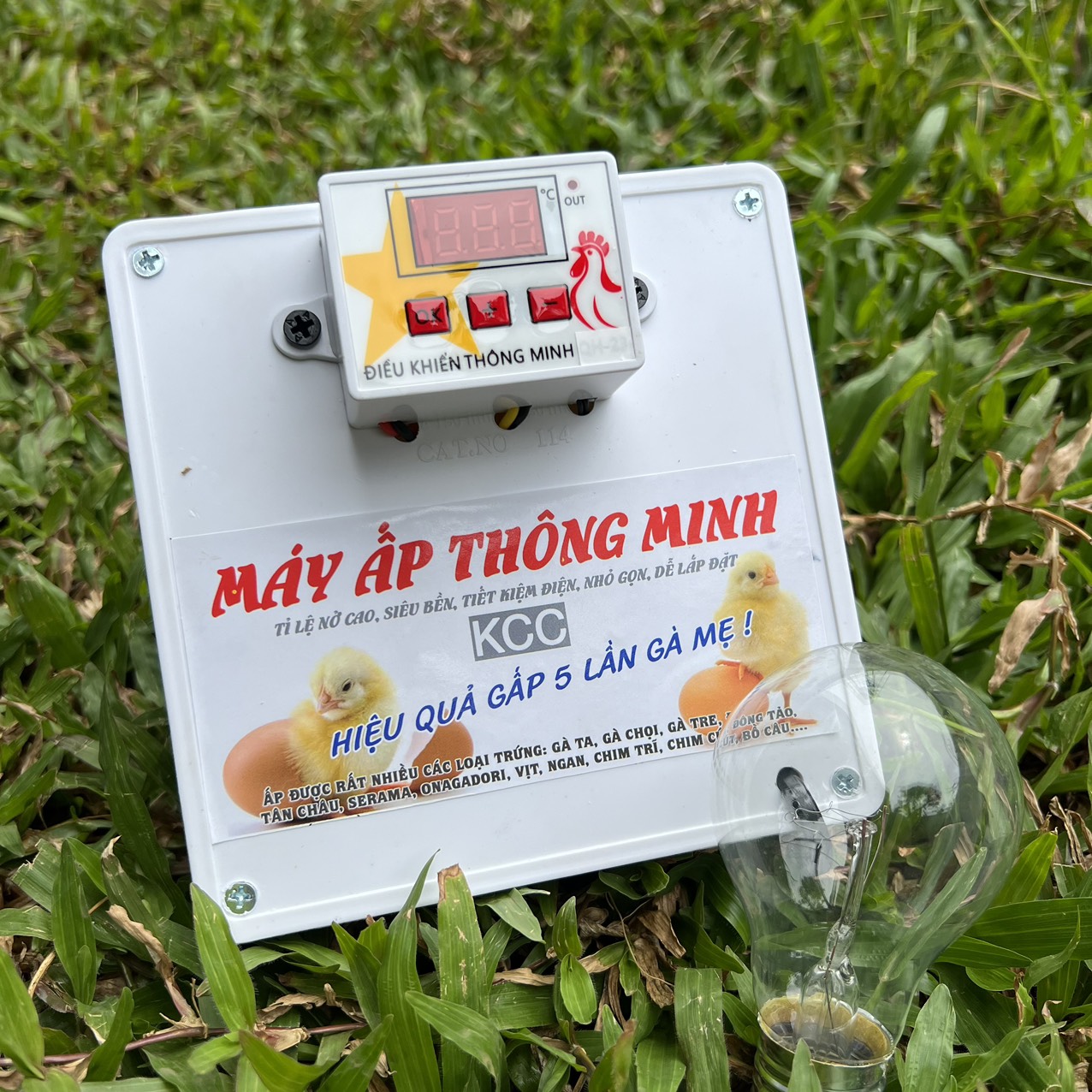 MÁY ẤP TRỨNG MINH DÀNH CHO NGAN,GÀ,VỊT,BÒ SÁT,CHIM...