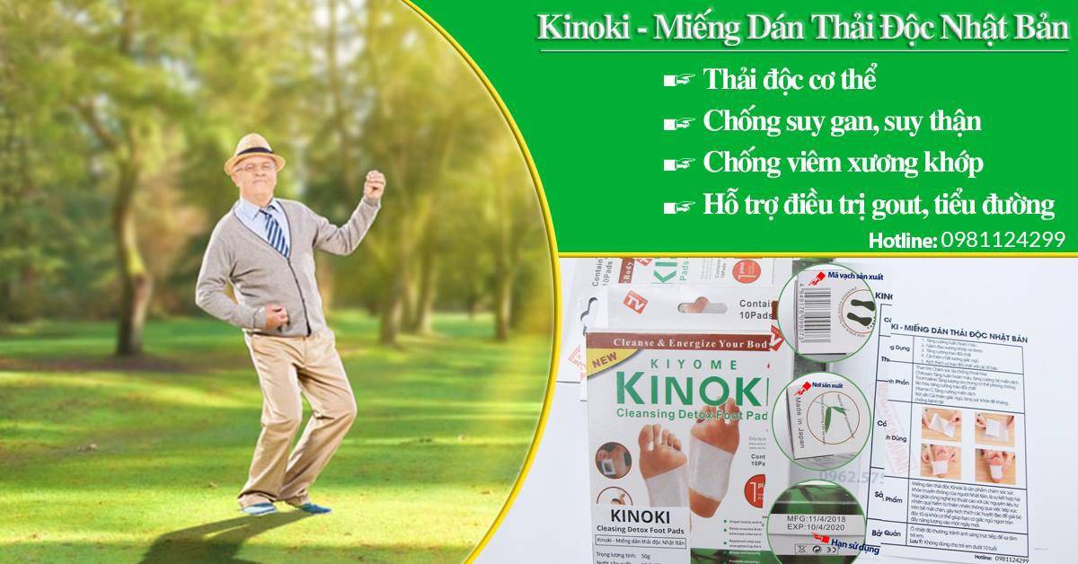 Combo 10 Miếng Dán Thải độc Chân Kinoki