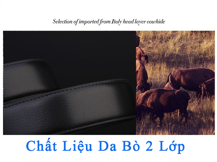 Dây Nịt Thắt Lưng Nam Da Bò Cao Cấp AeShin - R14