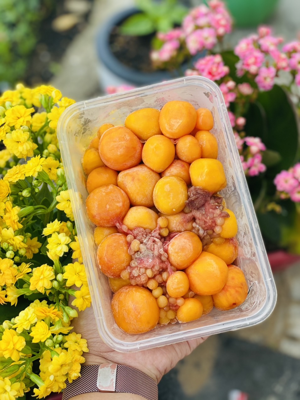 [GIAO NHANH 2H HCM] Giá sỉ 1Kg Trứng Gà Non