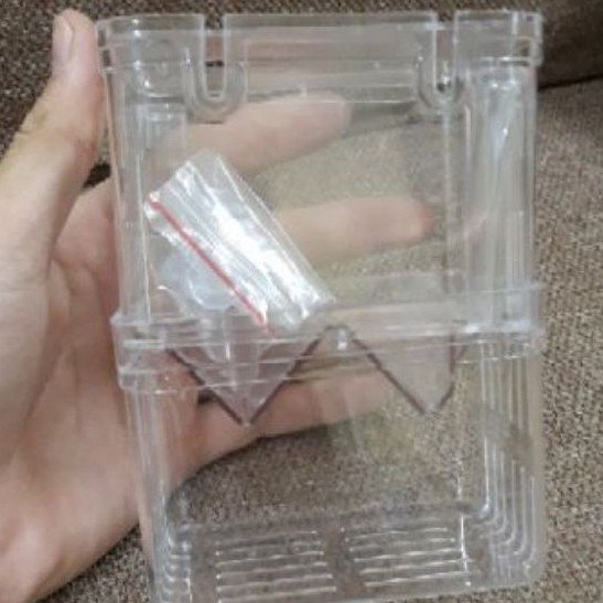 Lồng Đẻ Cho Cá- Lồng Ấp Cá Bảy Màu- Size Trung