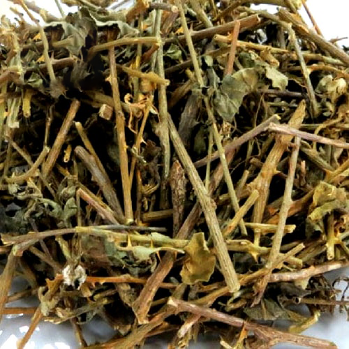 Cà gai leo 1kg, khô, sạch, trà cà gai, giúp mát gan, hạ men gan, thanh nhiệt, giải độc cơ thể