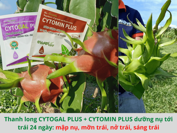 Phân bón tảo biển Cytogal Plus chai 500ml