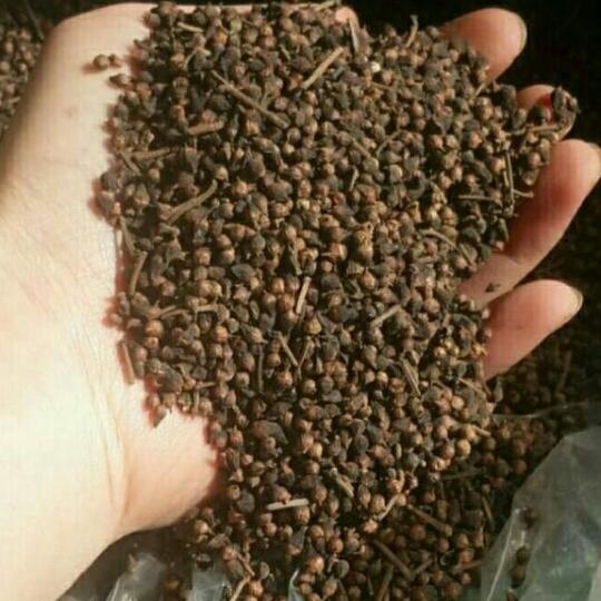 1kg nhân hạt bí chín