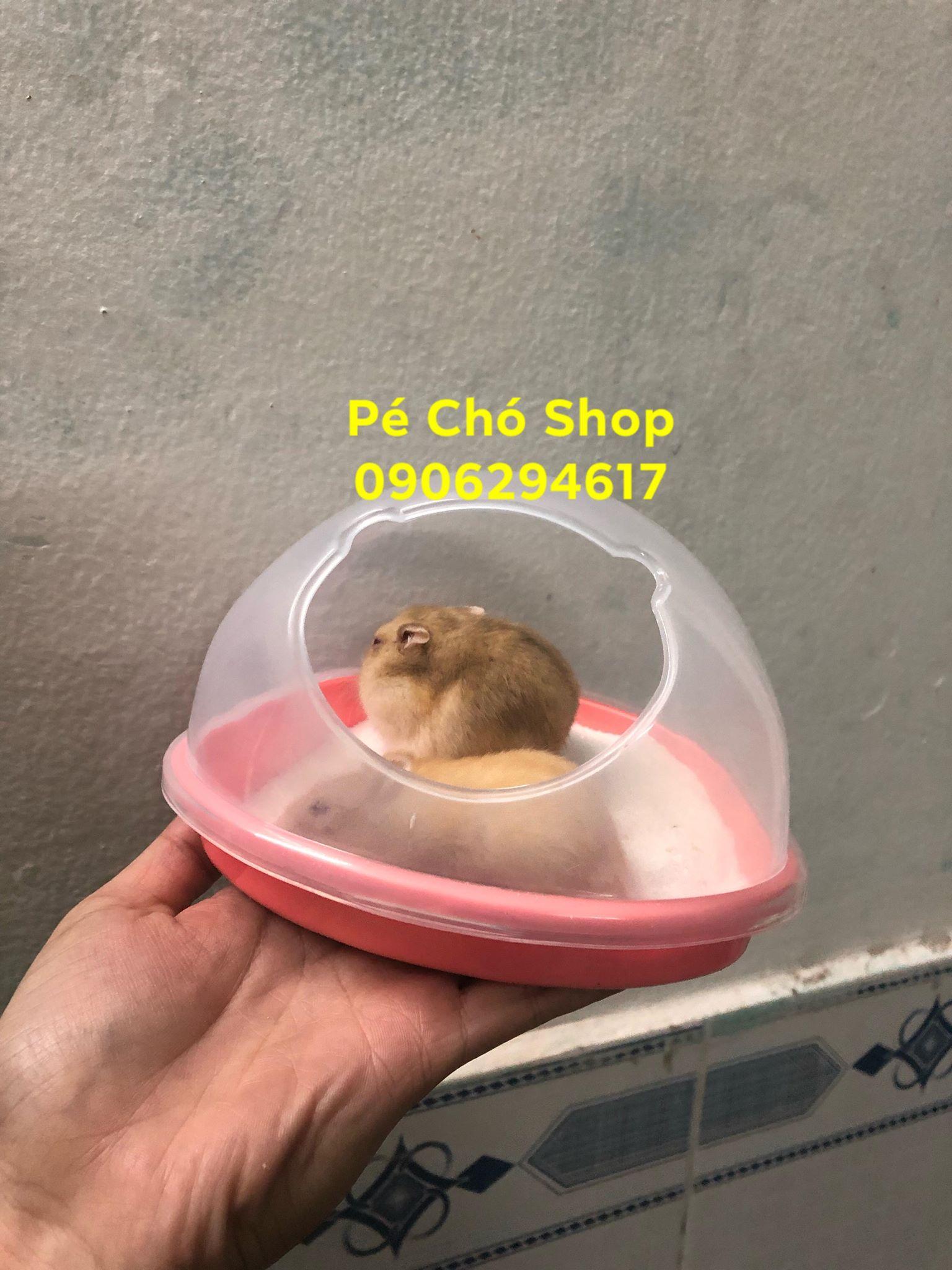 [HCM]Nhà Tắm Cát lớn cho hamster Bear ngũ sắc .
