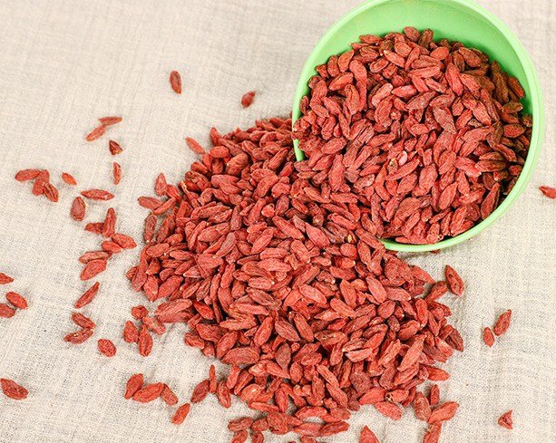 💥 (100G)  KỲ TỬ ĐỎ NINH HẠ SIZE TO ĐẠI KHÔ ĐẸP