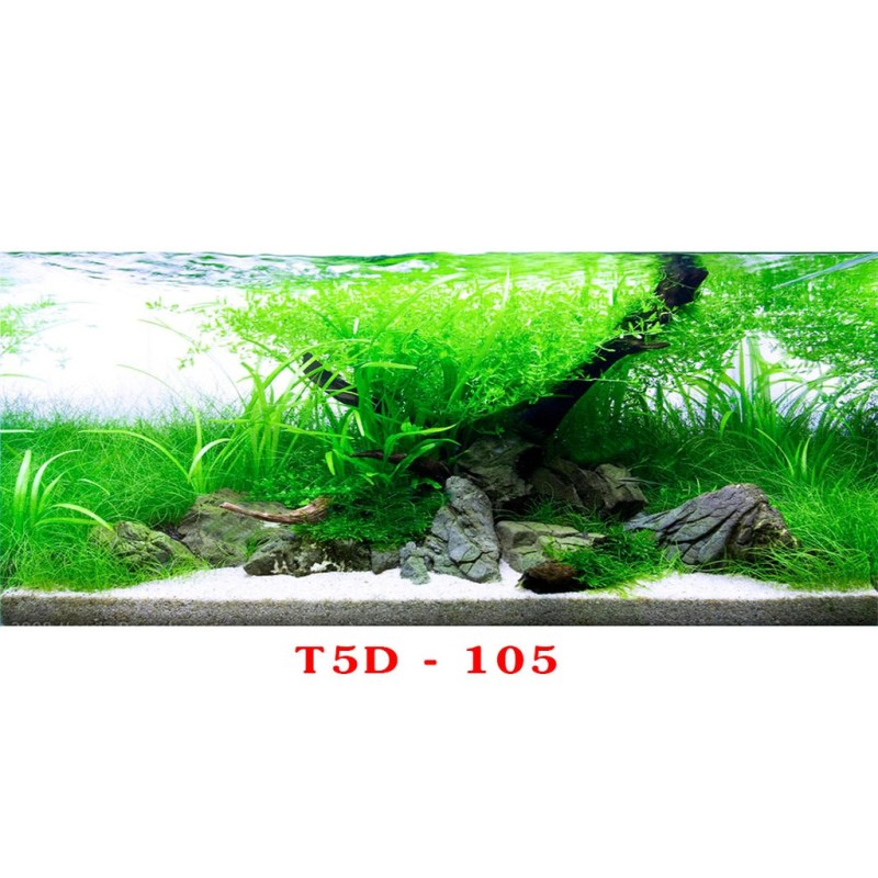 Tranh 3D bể cá mã T5D-105 kt (60,80,90,100,1m2,1m5,1m6)