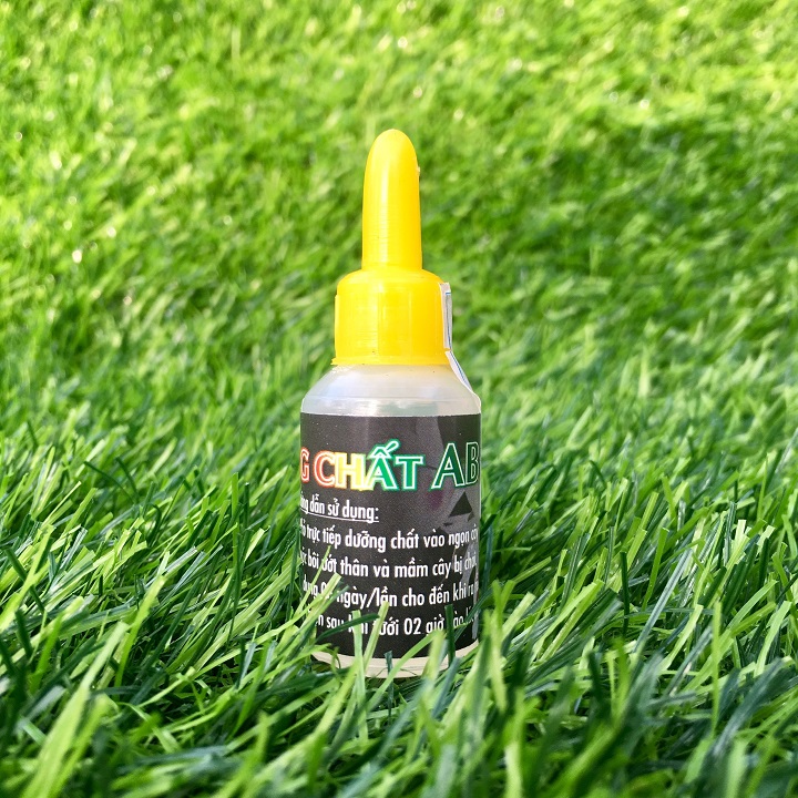Dưỡng chất AB  giúp mầm cây phong lan của bạn hồi phục khi không ra rễ,không nhú đọt,thân già chai lì không nhú mầm.