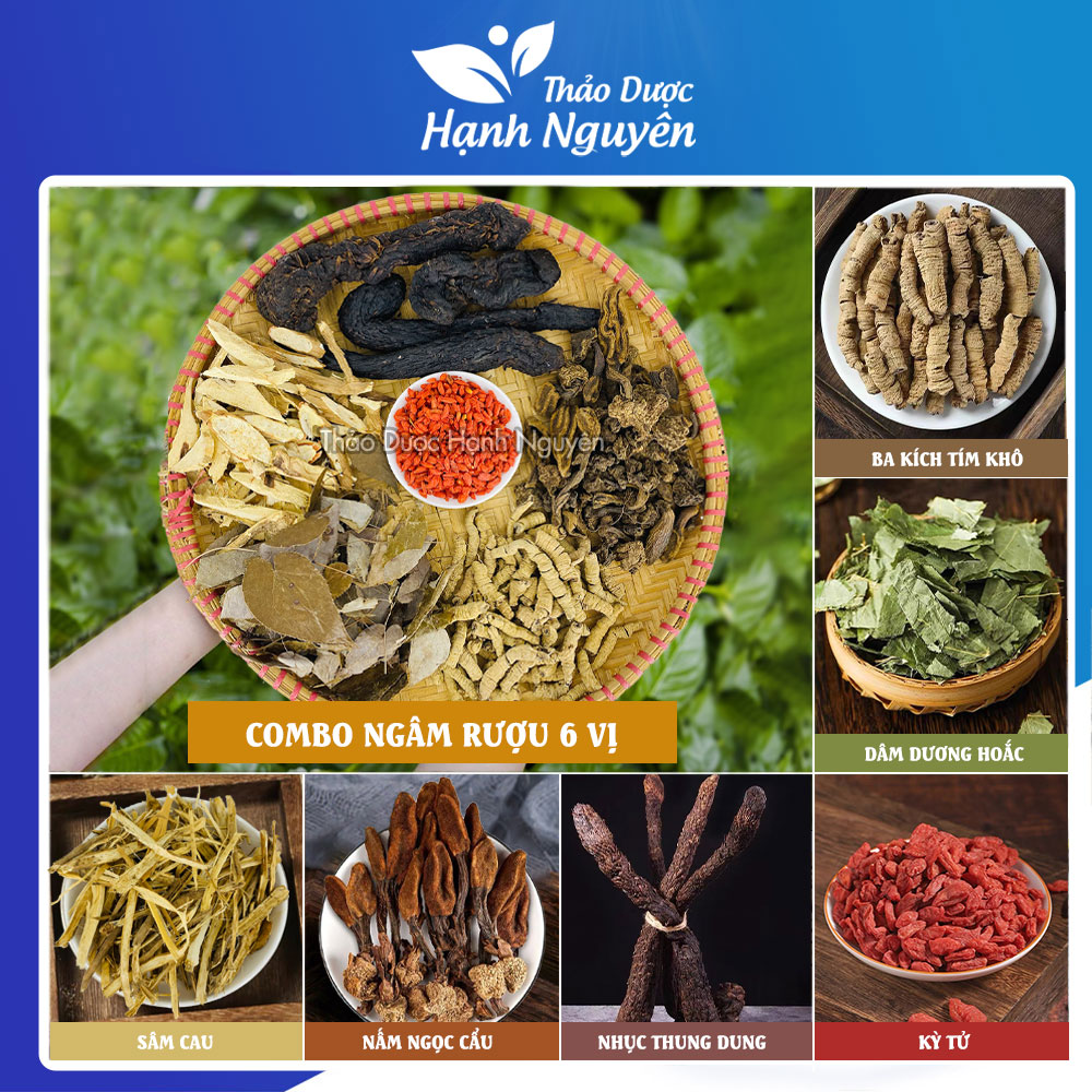 Combo 1,2kg gồm 6 vị bổ thận ngâm rượu - thảo dược hạnh nguyên