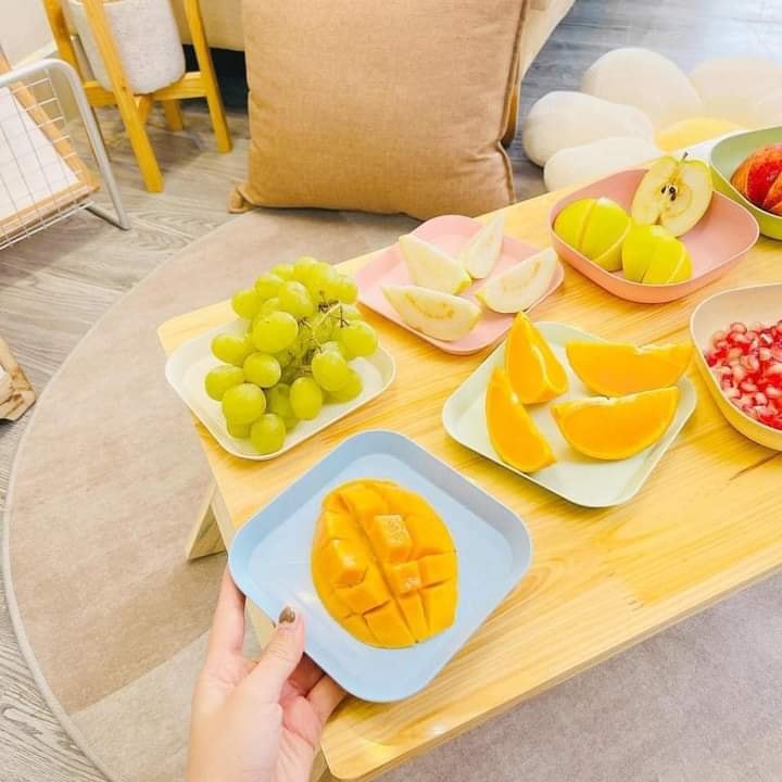 SÉT 8 bát ĐĨA LÚA MẠCH CHỮ NHẬT MÀU PASTAL SIÊU XINH