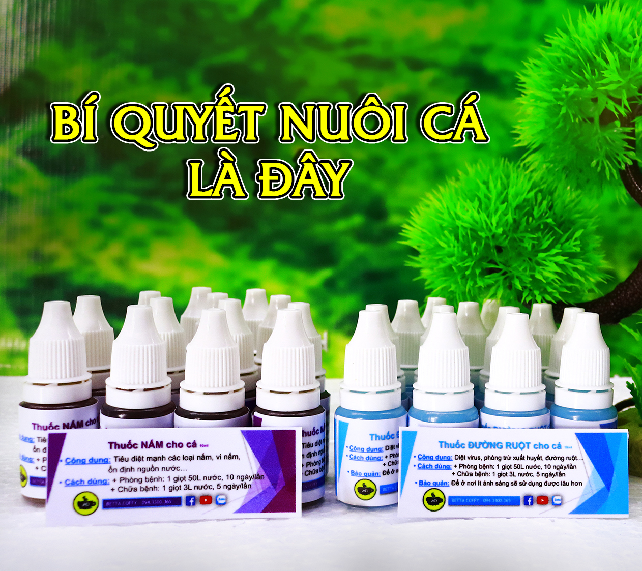 Bộ ấp Artemia Cao Cấp 55K