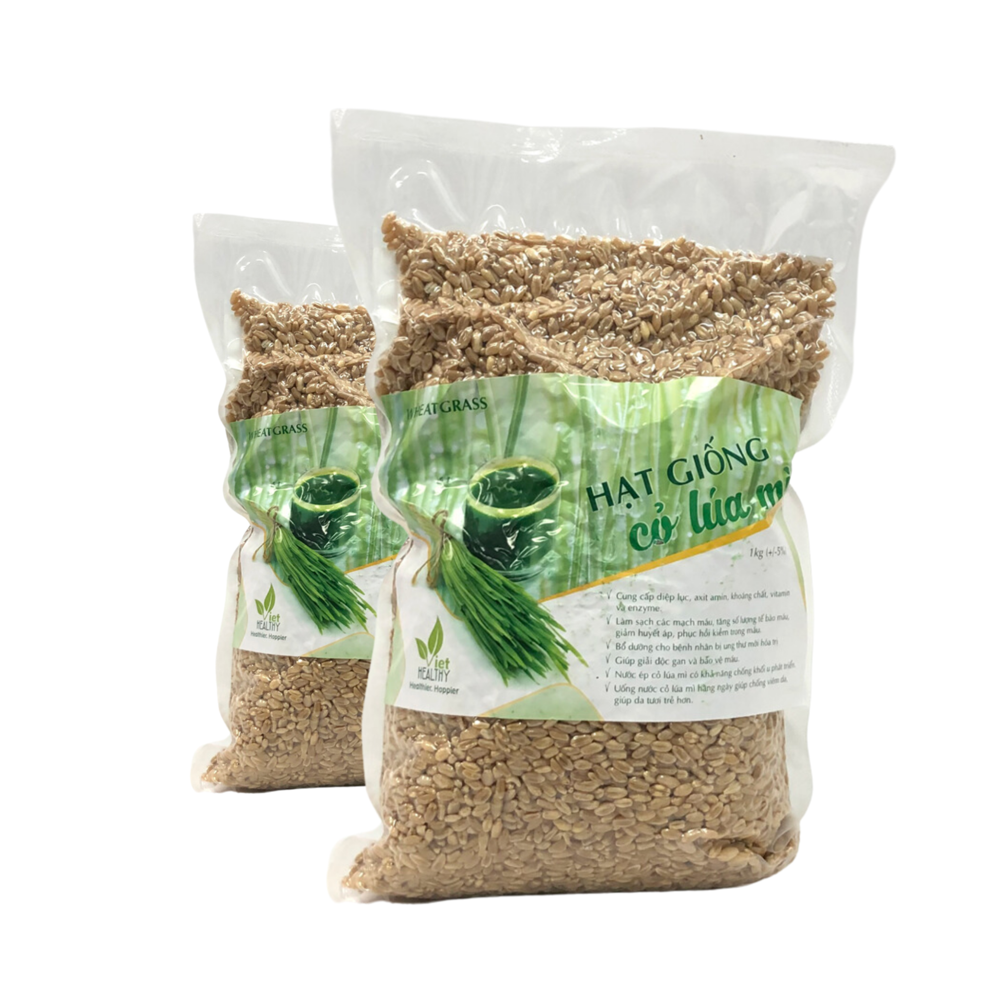 Hạt giống cỏ lúa mì 1kg