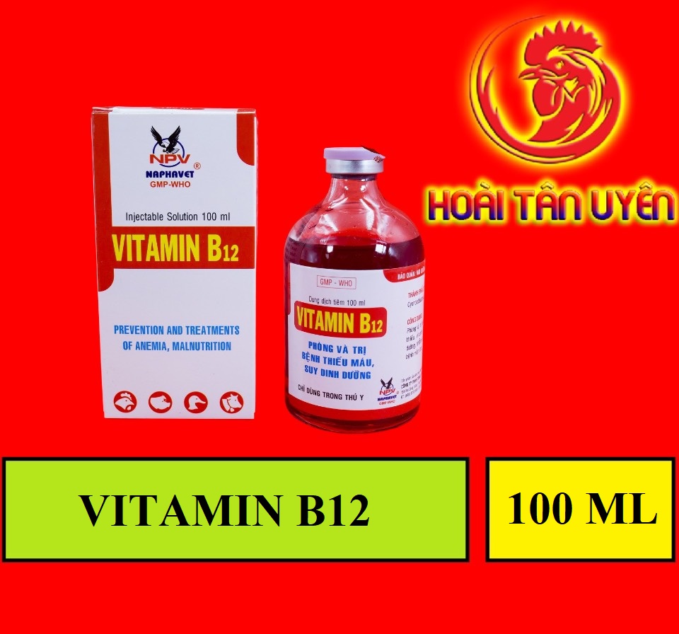 VITAMIN B12 dinh dưỡng cho gà đá 100ml