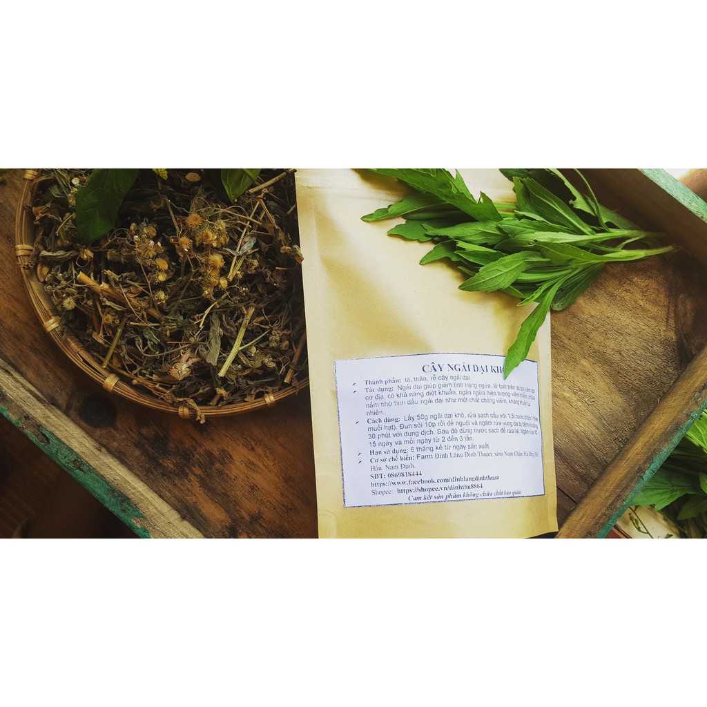 Cây Ngải Dại (Cỏ Tải Hùm) Tươi