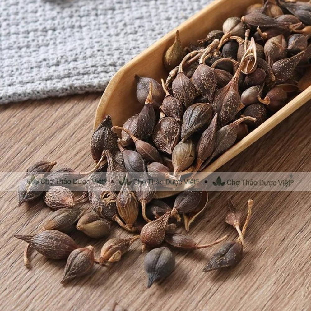 Liên kiều 300g, quả liên kiều, hạ liên tử, khô, thơm, sạch - Chợ Thảo Dược Việt
