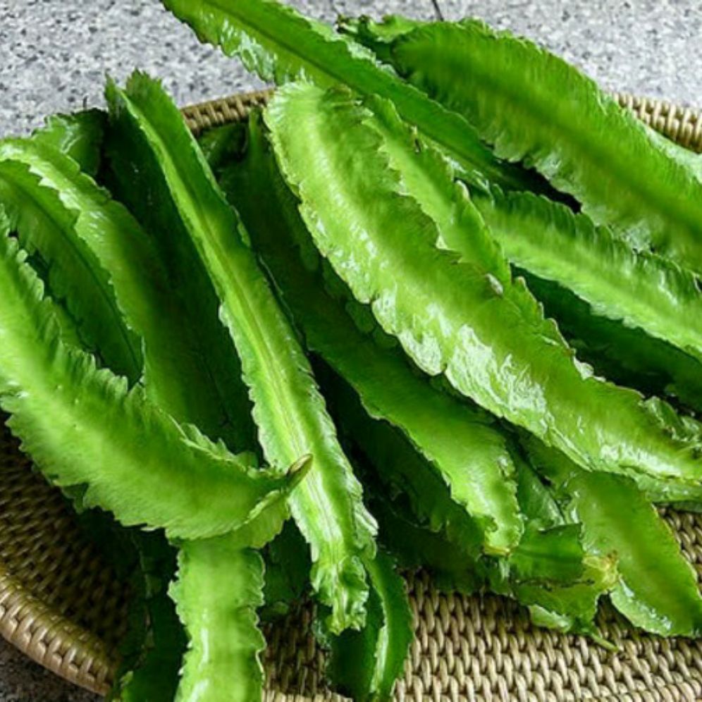 Hạt giống đậu rồng tứ quí - đậu khế gói 10gram