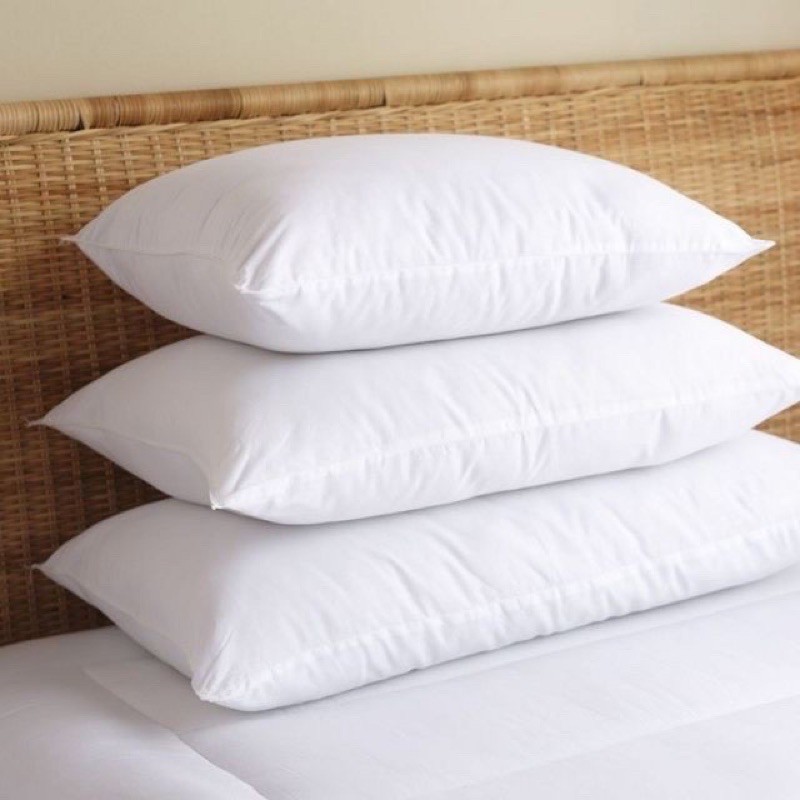 RUỘT GỐI VIKONA HÀNG CAO CẤP (45*45cm, 40*60cm ,50*70cm ,35*105cm)