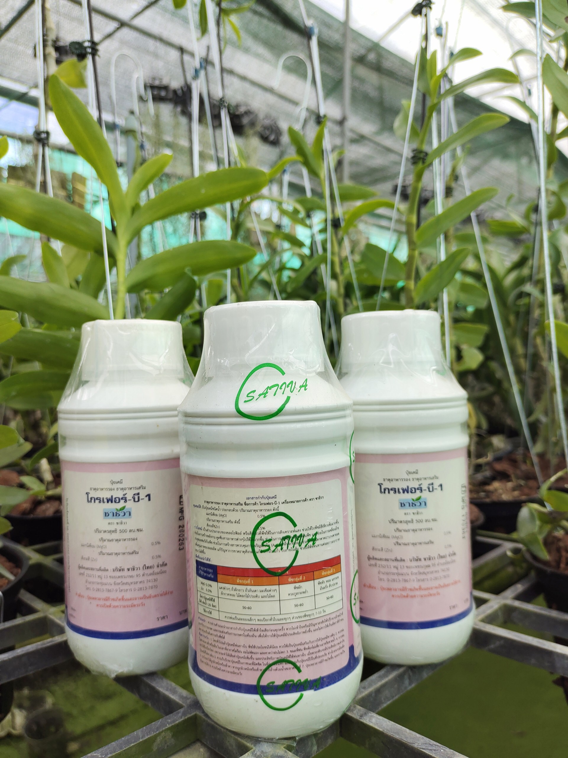 Phân Bón B1 Grofer Chính Hãng Nhập Khẩu Từ Thái Lan