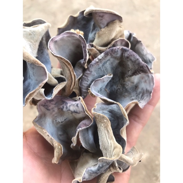 200gr nấm mèo khô/ mộc nhĩ khô - loại to, sạch