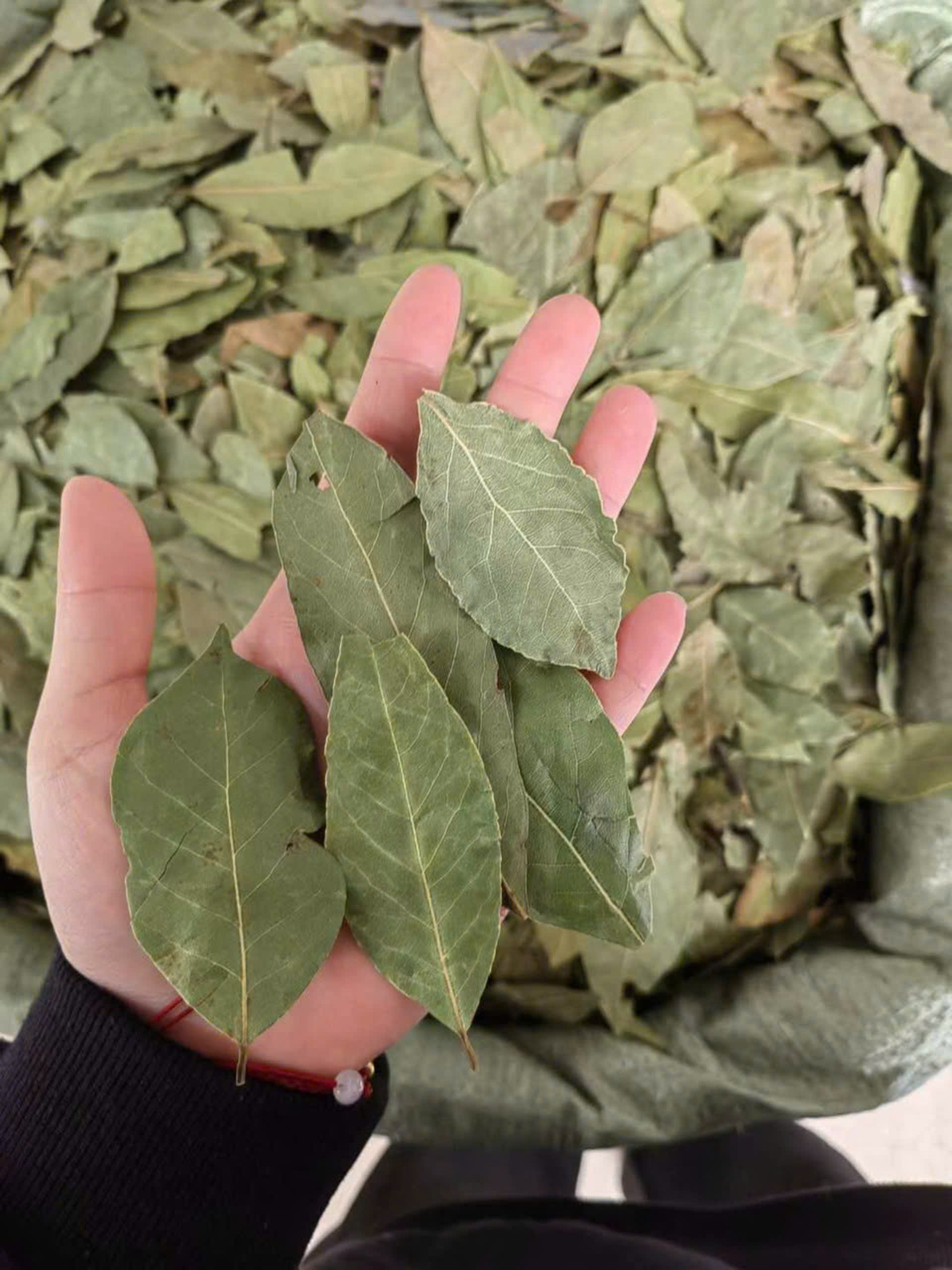Lá nguyệt quế Khô (Lá Bay leaves) 20g_Monhi_Food