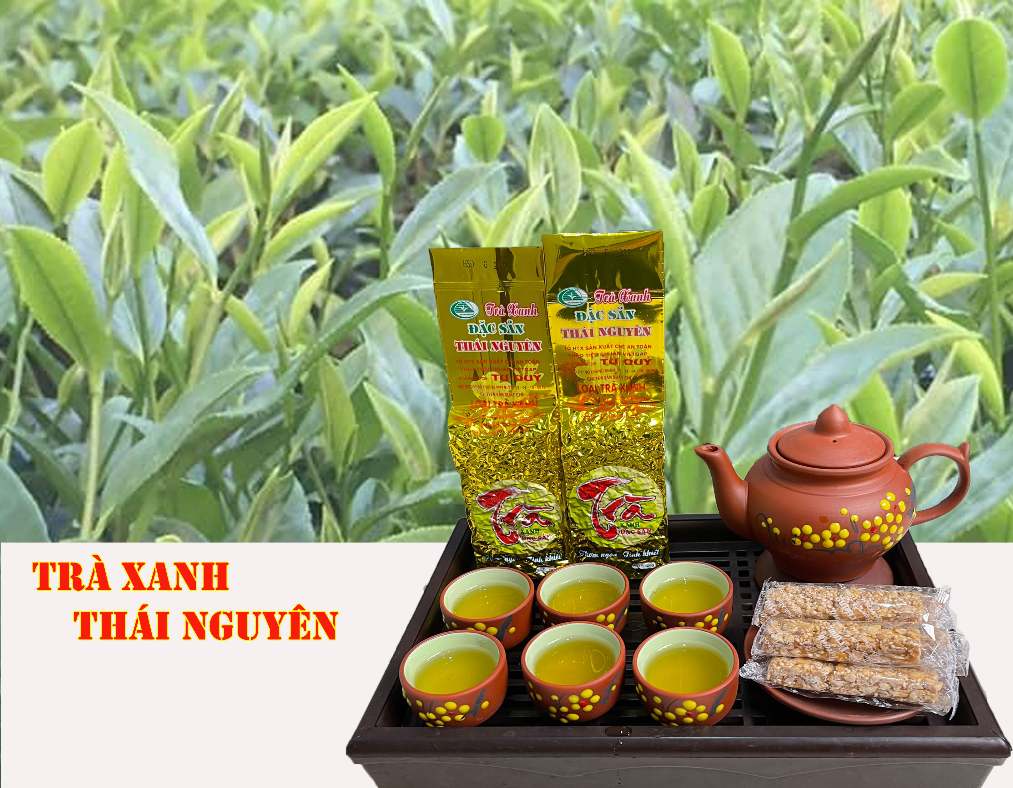 CHÈ THÁI NGUYÊN TƯ QUÝ (loại chè xanh gói 500g)