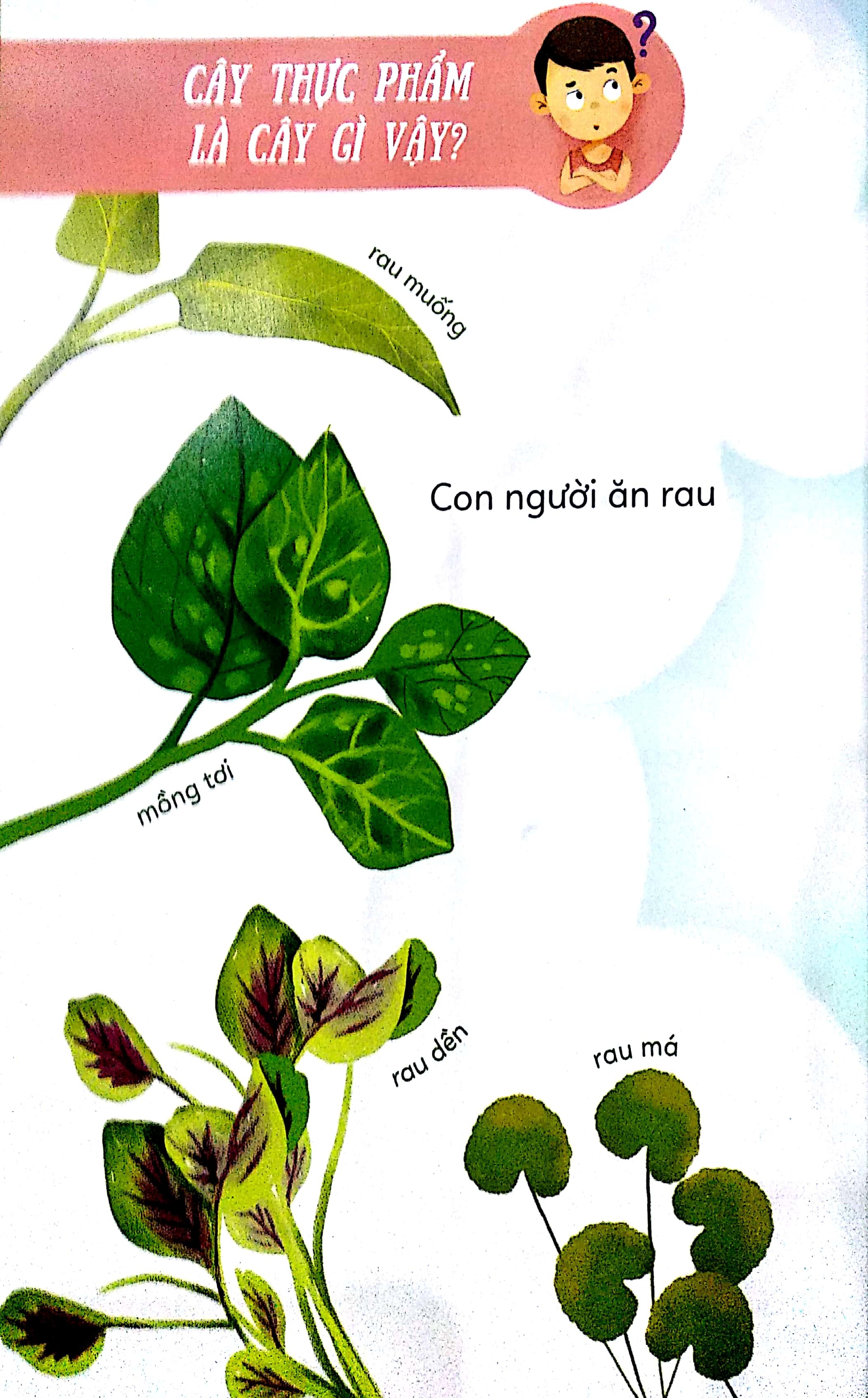 Bé Khám Phá Thế Giới Thực Vật - Cây Lành Cây Độc
