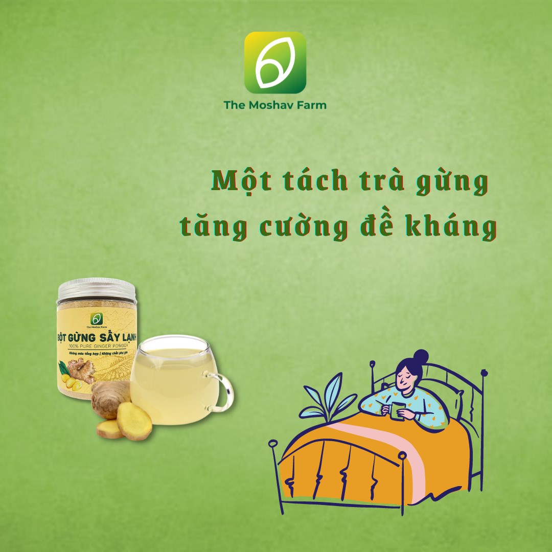 BỘT GỪNG TÚI LỌC