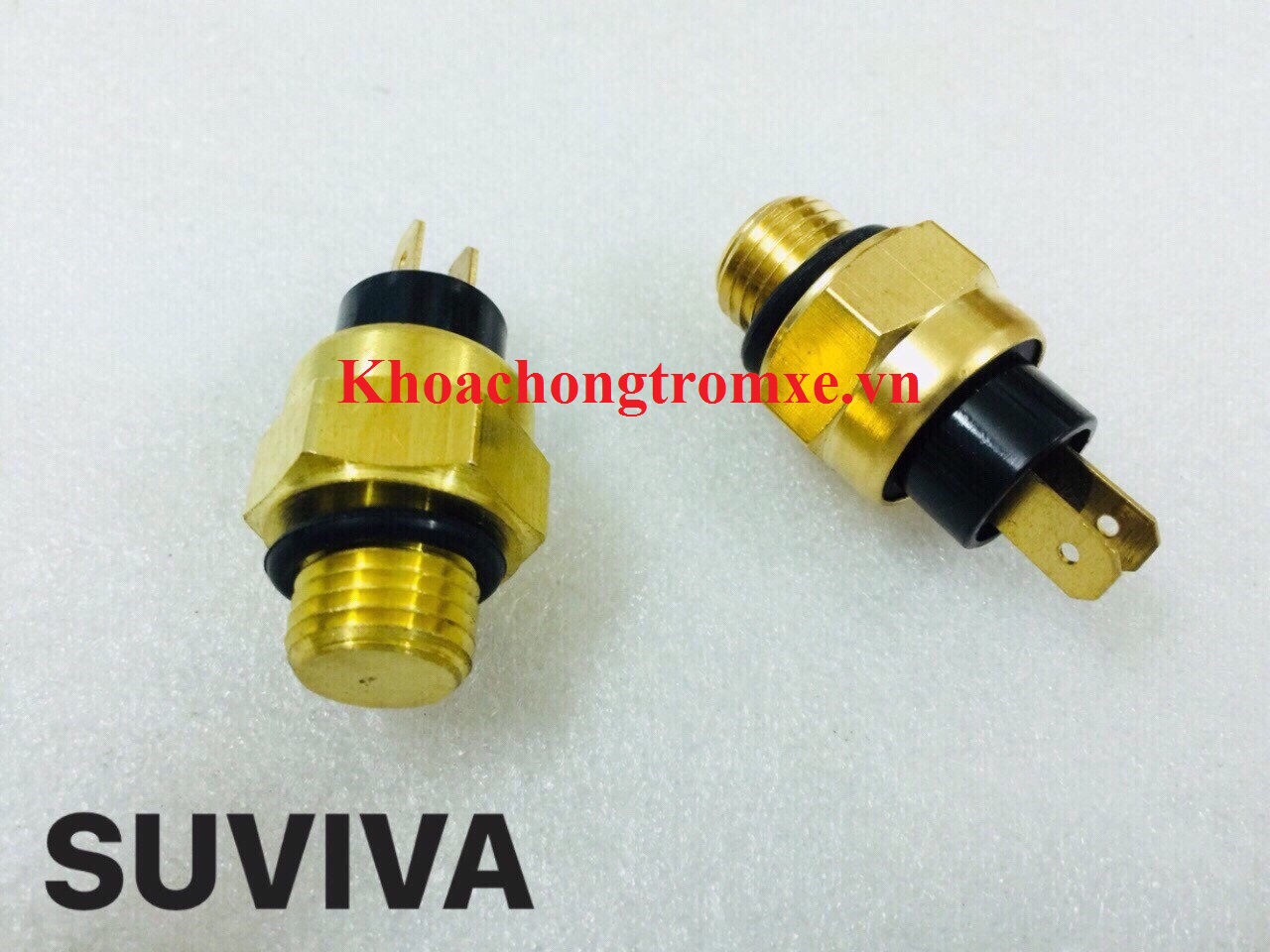 Cảm Biến Nhiệt Dylan Viva 115