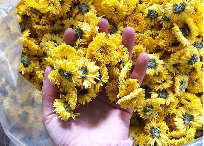 Trà hoa cúc vàng sấy khô nguyên bông 1kg