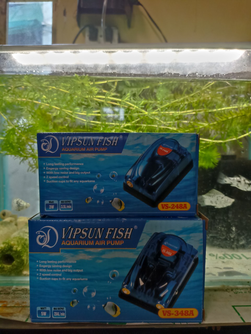 Máy sủi khí oxy VIPSUN VS-248A & VS-348A