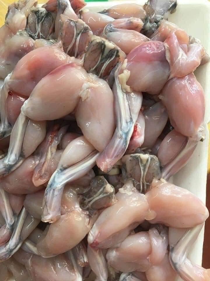 Đùi ếch 500gr
