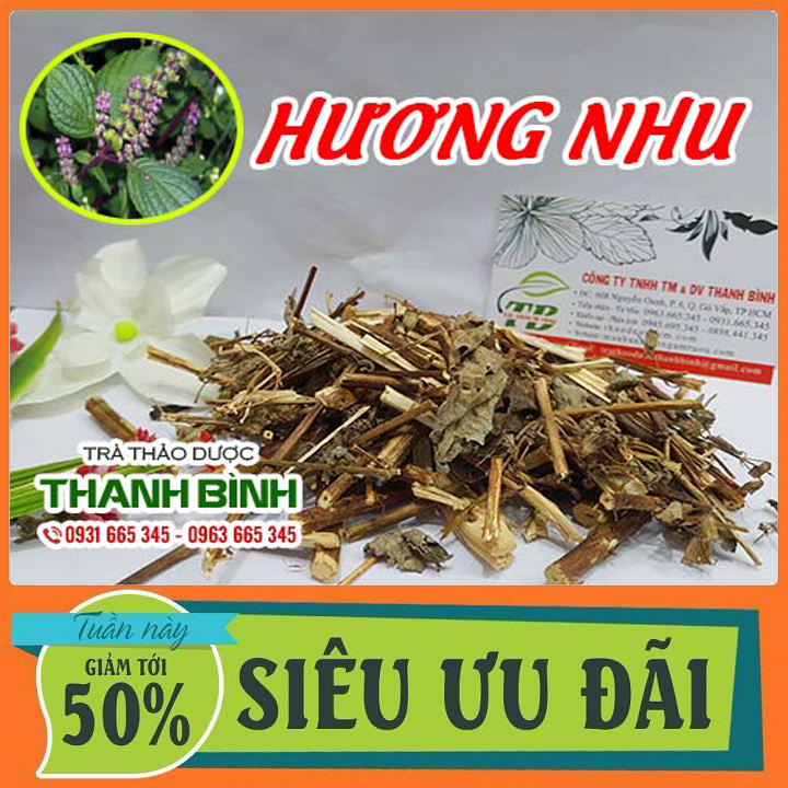 Cây Hương Nhu Khô 100G Hàng Cao Cấp - Đông Y Thanh Bình