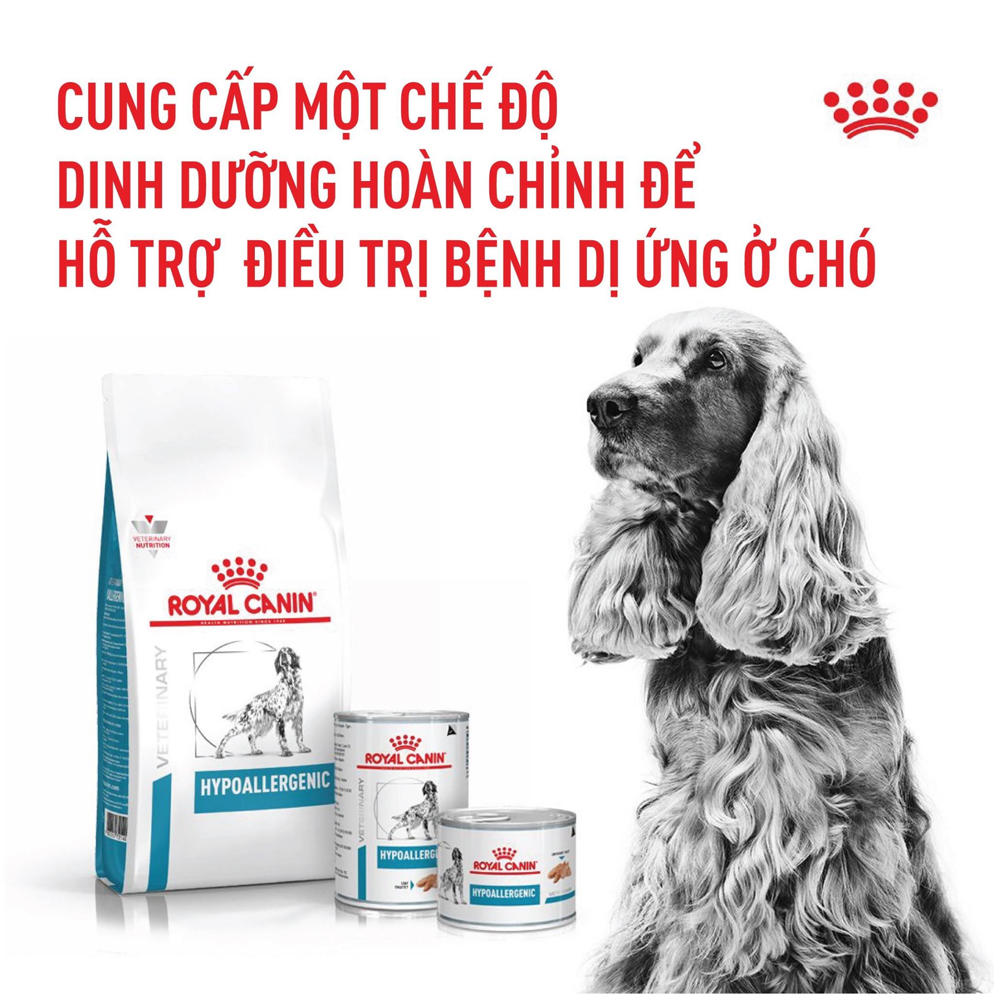 Hạt cho chó bị dị ứng royal canin hypoallergenic canine - túi 2kg