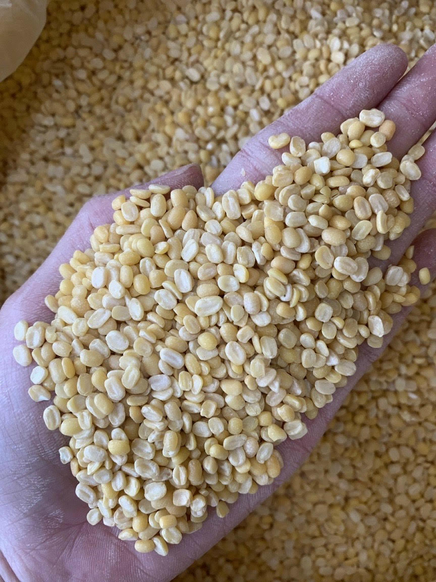 đậu xanh bóc vỏ khô cội(không màu)