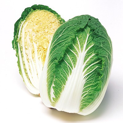 Hạt Giống Cải Thảo