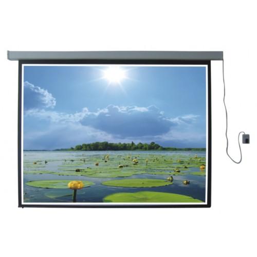 Màn chiếu điện có remote 150 inch Dalite / Apollo