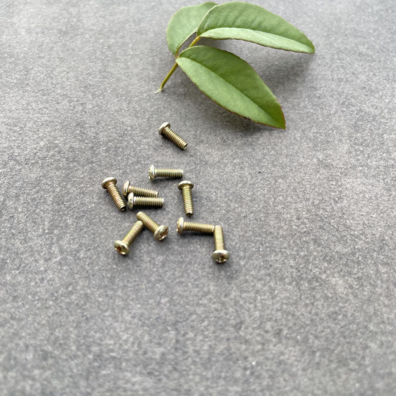 Bộ 10 cái ốc vít M2 2mm dài 6mm