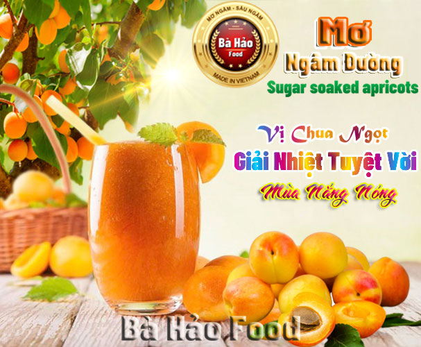 Mơ ngâm đường bà Hảo hộp 500ml