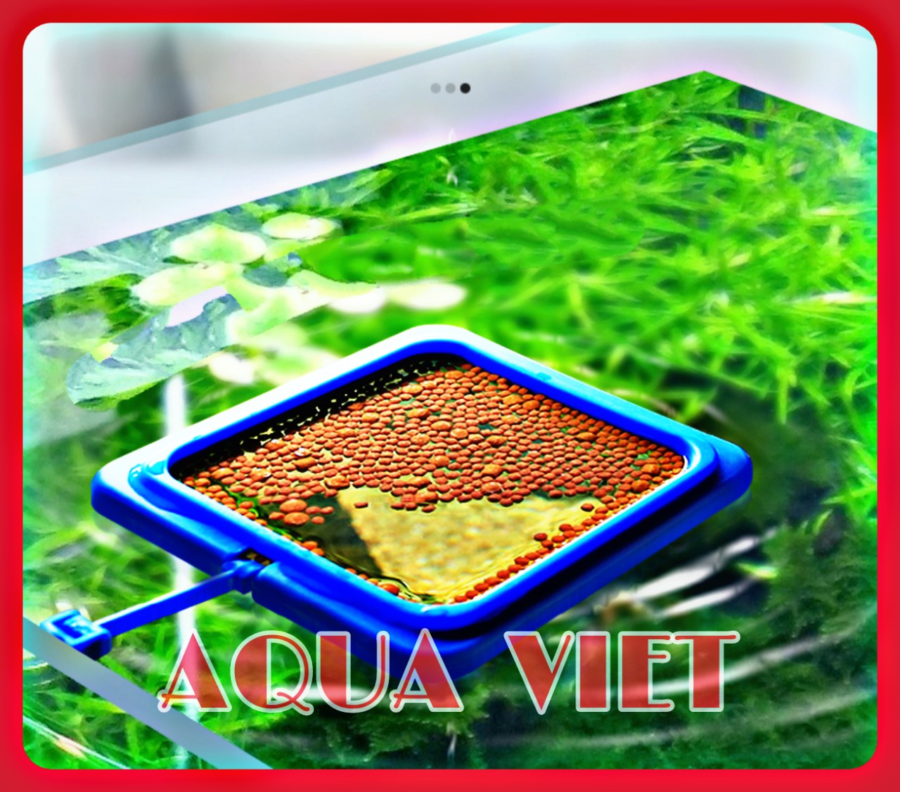 Vòng giữ thức ăn nổi cho cá cảnh