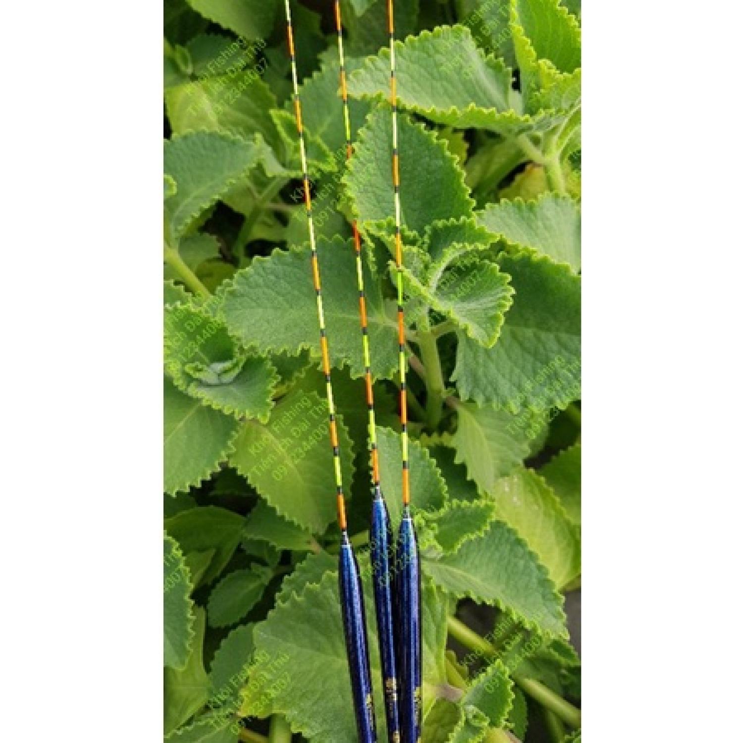Phao câu đài chuyên câu rô phi Fuwang