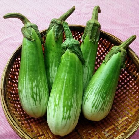 0.5gram hạt giống cà phổi sọc lem