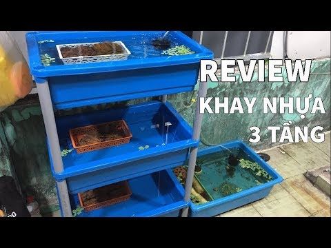 Khay 3 tầng nuôi cá màu xanh dương