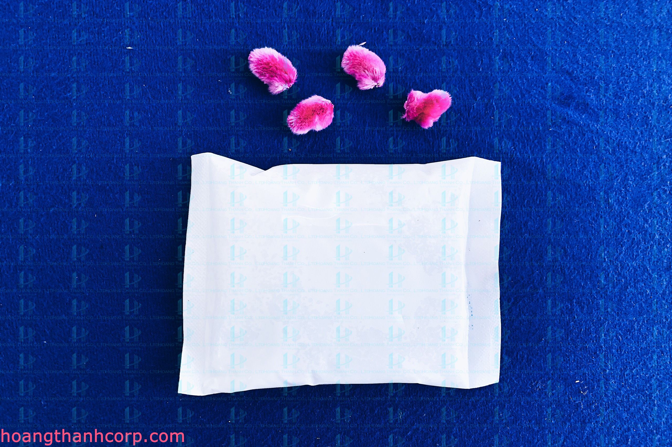1 KG ĐÁ GEL ĐÁ KHÔ HT ICE PACK 100 GR (9x12cm) (Dạng bịch, túi)