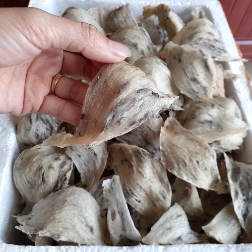 yến sào thô tổ sạch đẹp (1 lạng) 🎁 đồ chưng