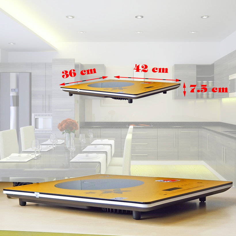 Bếp Điện Từ Hayasa Ha-790 Slim (Tặng Nồi Lẩu Inox Cao Cấp)