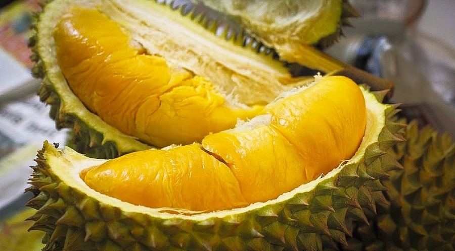 Cây sầu riêng ri6 (3 năm cho trái)