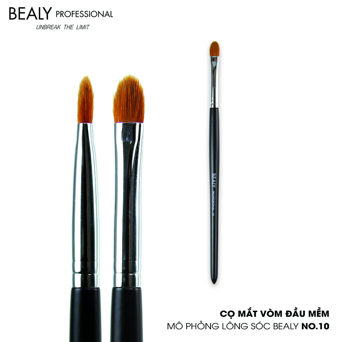 BỘ CỌ TÁN PHẤN MẮT MÔ PHỎNG LÔNG SÓC BEALY 6C