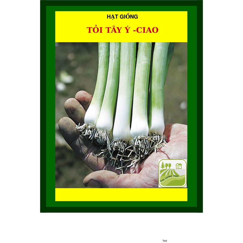 2 Gram - Hạt Giống Tỏi Tây Ý