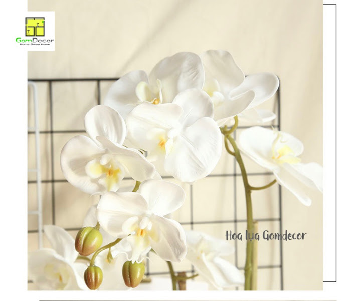 Hoa lan cao su lan hồ điệp giả hoa lụa cao cấp
